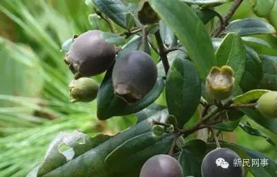 山东商业职院借助信息化建设改变教育教学生态_xc体育(图3) xc sports