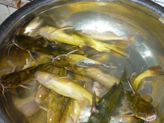 xc sports|合肥新东方前途出国留学案例:UCLA,其实并不遥远(图3) xc sports