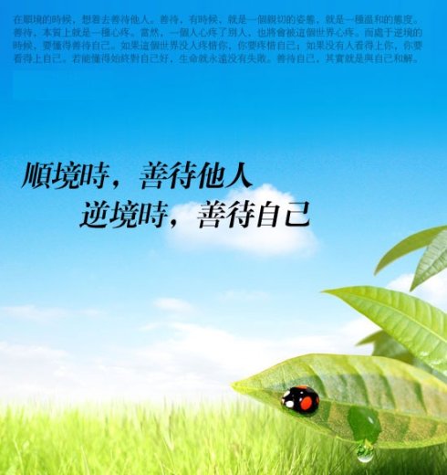 xc体育